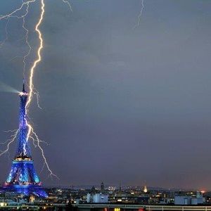 Meet your Posher, Roberta